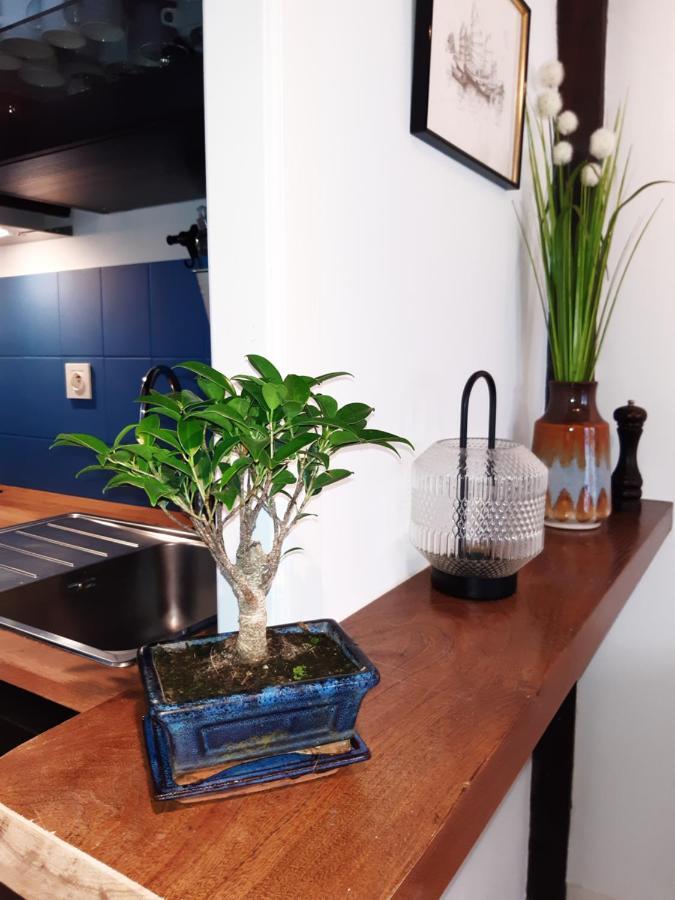 Haute Meuble Avec Cour Privative Granville
